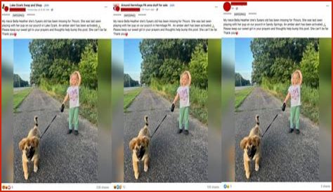 The Bella Heather Missing Scam Exposed!